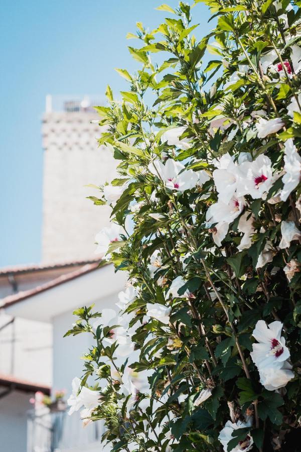 La Rola Albaretto della Torre Exterior foto